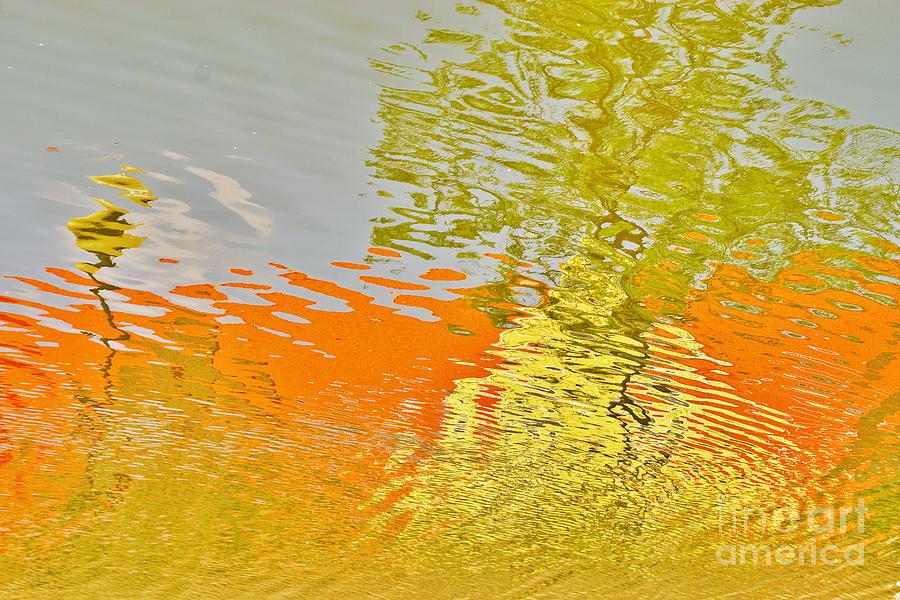 Pond Reflection Photograph by Merle Grenz