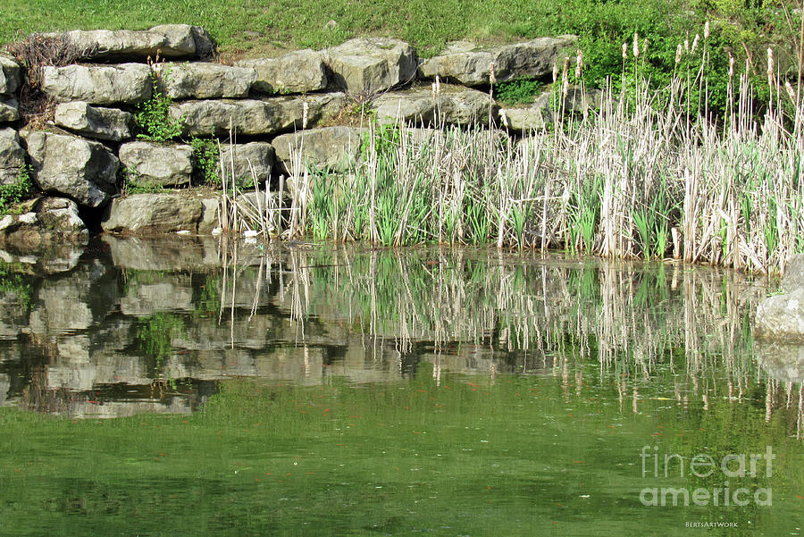 Pond Reflection Photograph by Roberta Byram
