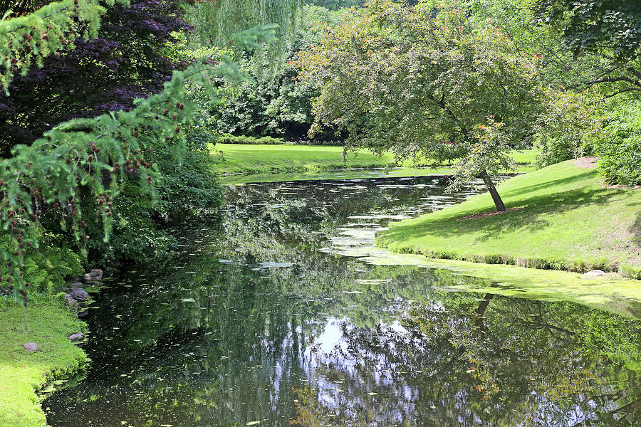 Pond Reflections Dow Gardens 3 062618 Photograph by Mary Bedy
