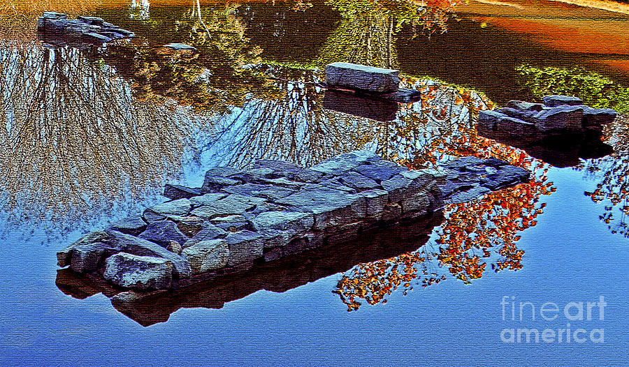 Pond Reflections In Autumn Photograph by Lydia Holly