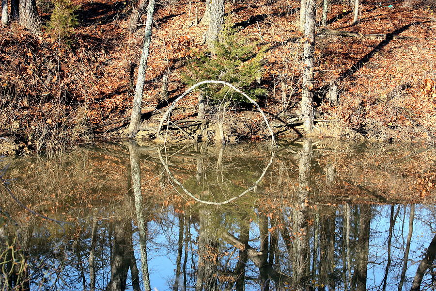 Pond Reflections in Fall Photograph by Sheila Brown