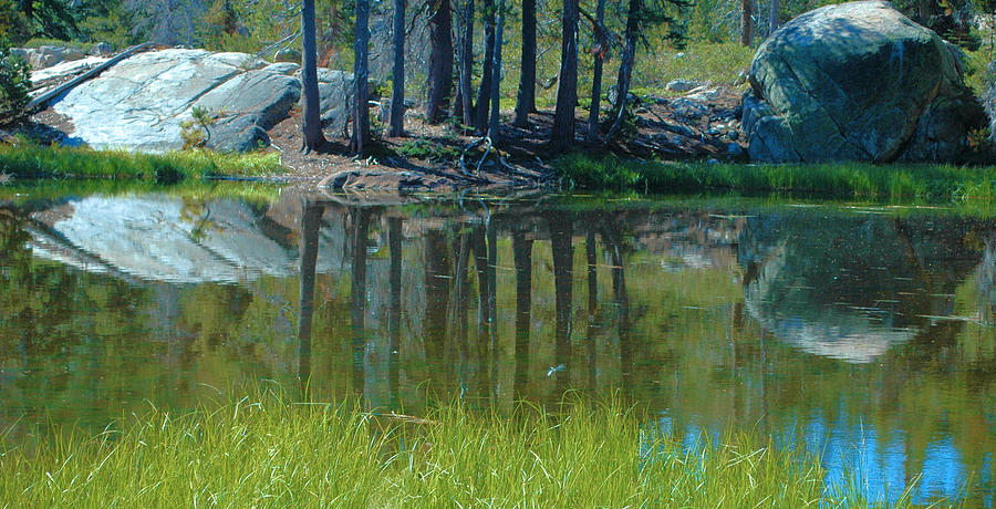 Pond Reflections Photograph by Josephine Buschman