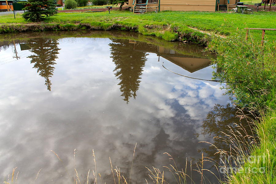 Pond Reflections Photograph by Pamela Walrath