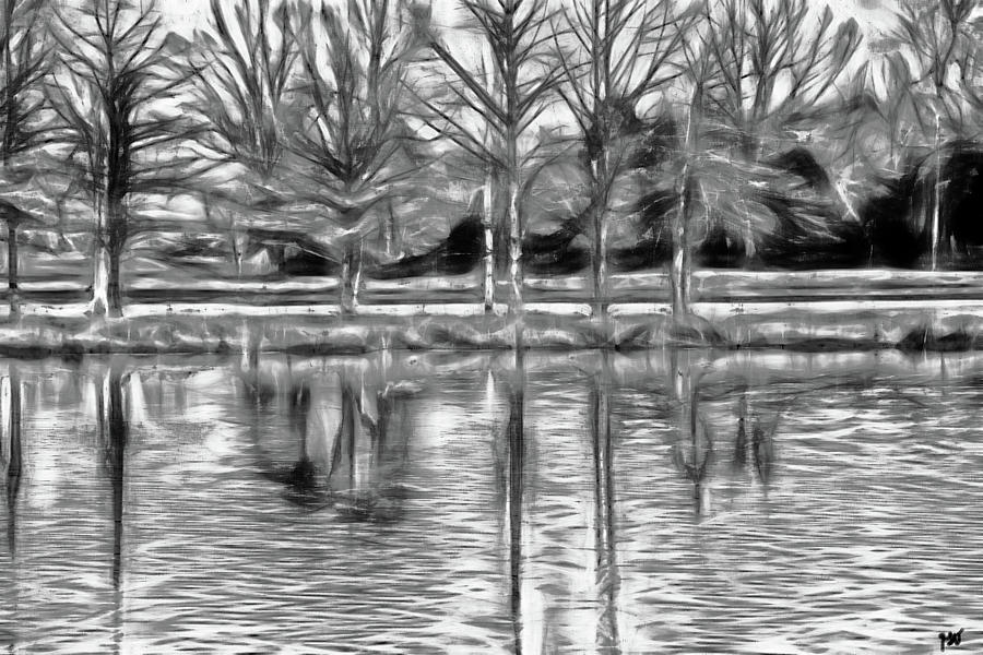 Pond Shadows Photograph