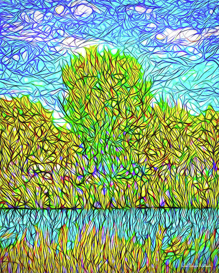 Pond Sky Convergence - Lake Reflections In Boulder County Colorado Digital Art by Joel Bruce Wallach
