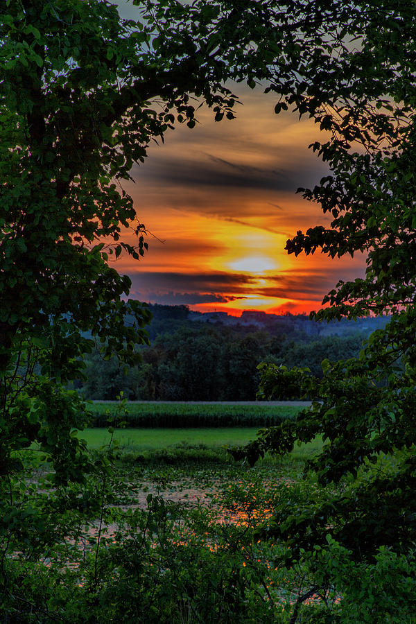 Pond Sunset  Photograph by Betty Pauwels