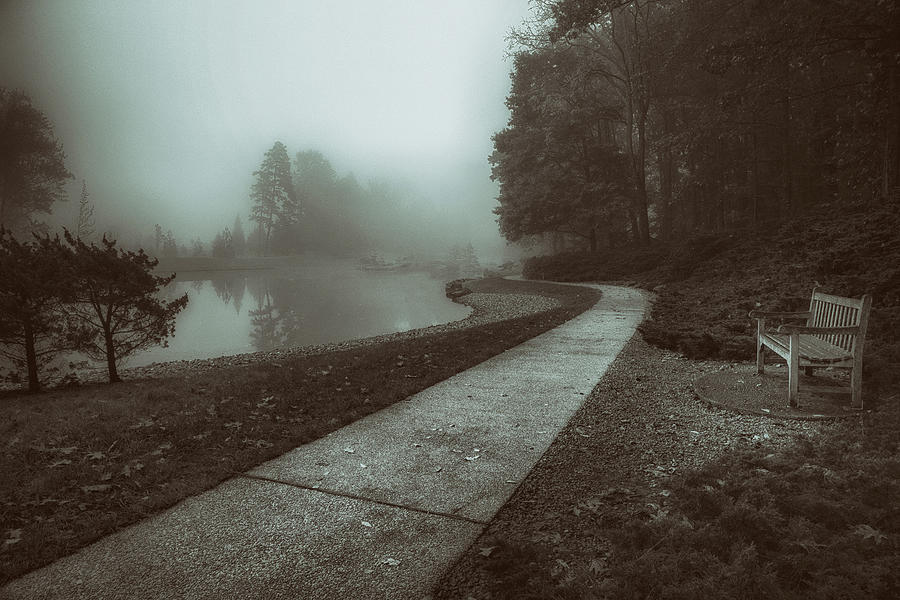 Tree Photograph - Pond Walk in Black and White by Tom Mc Nemar