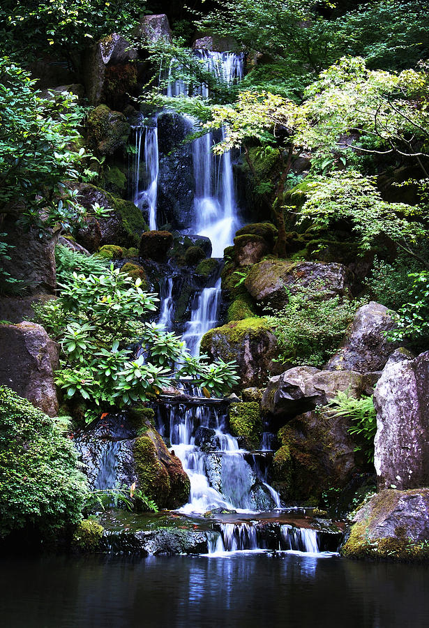 Pond Waterfall Photograph by Anthony Jones