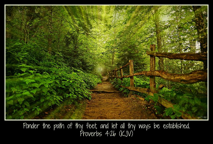 Ponder Thy Path - Poster Photograph by Stephen Stookey | Fine Art America