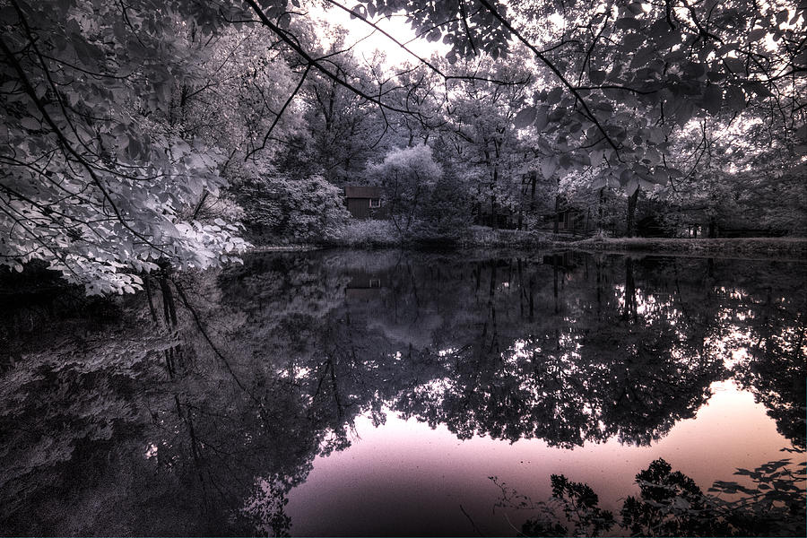 Pondside Dusk Photograph by William Fields