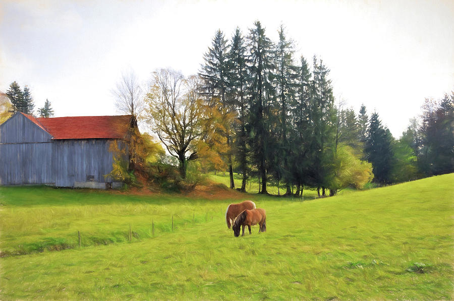 Ponies, Bavarian farm Photograph by Curt Rush