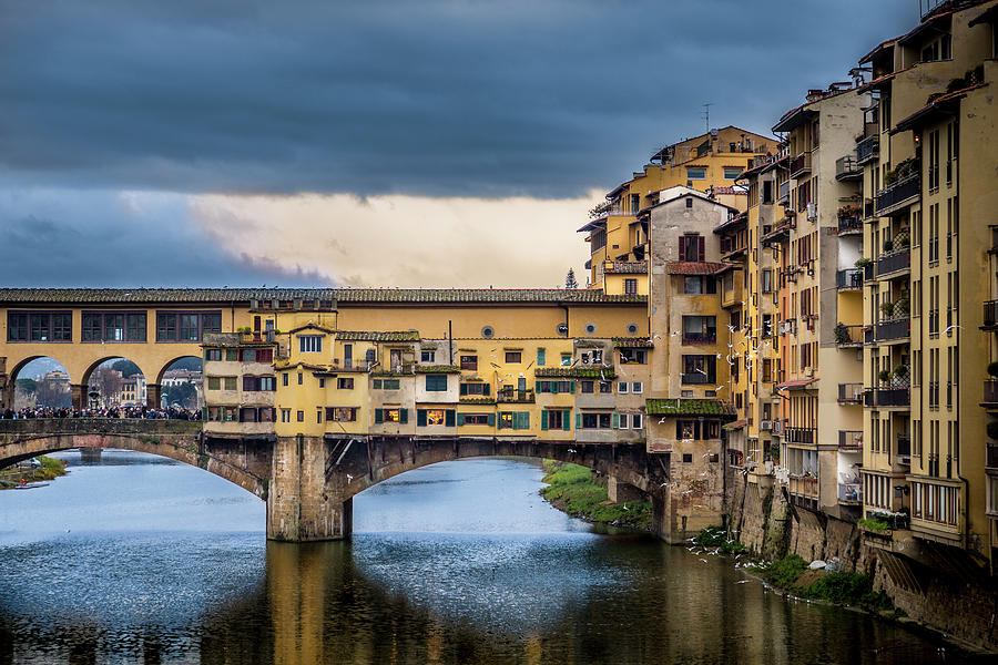 Ponte Vecchio e Gabbiani Photograph by Sonny Marcyan
