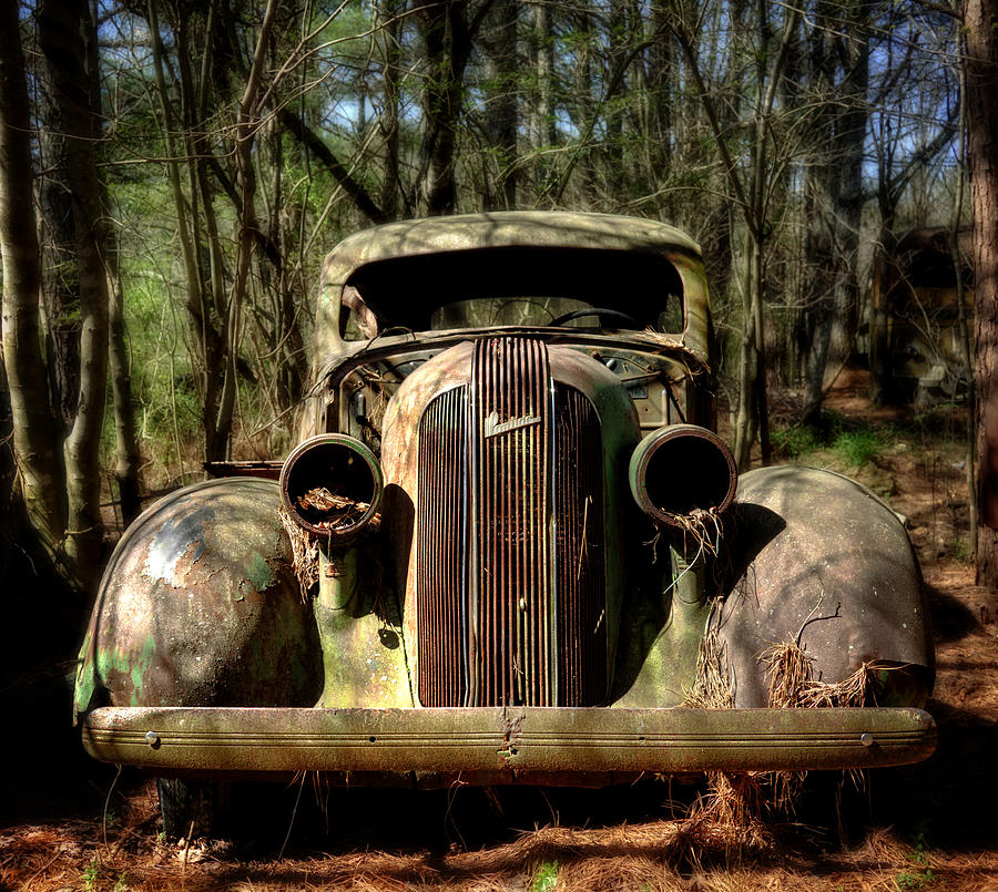 Pontiac In The Woods Photograph by Greg and Chrystal Mimbs