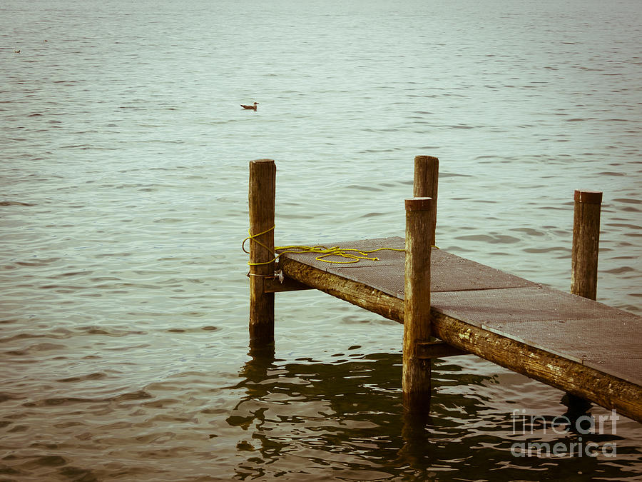 Duck Photograph - Pontoon on lake Geneva. by Bernard Jaubert