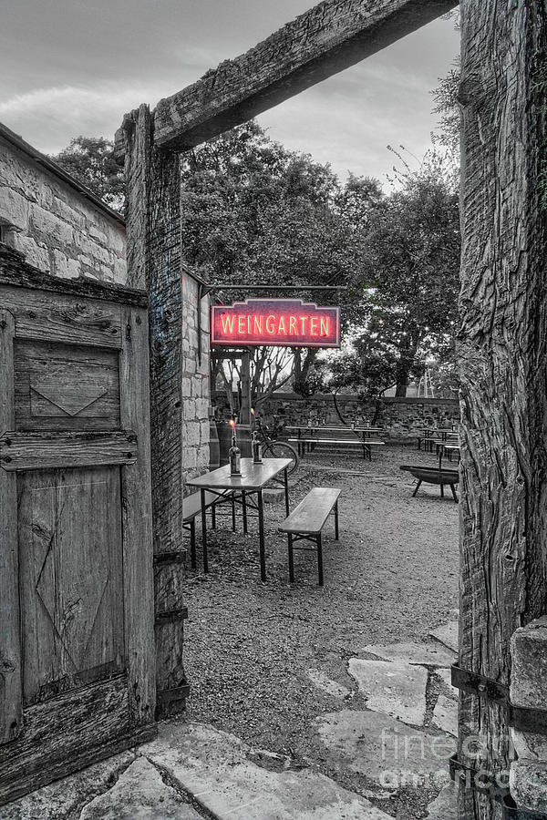 Pontotoc Vineyard Weingarten_8 by Sam Stanton Pontotoc Vineyard Weingarten_8 by Sam Stanton