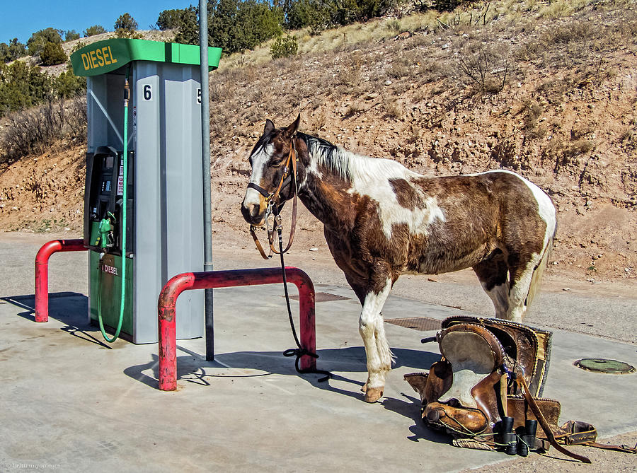 Pony at the Pump Photograph by Britt Runyon