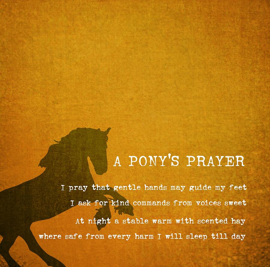 Pony Prayer Photograph by Dressage Design
