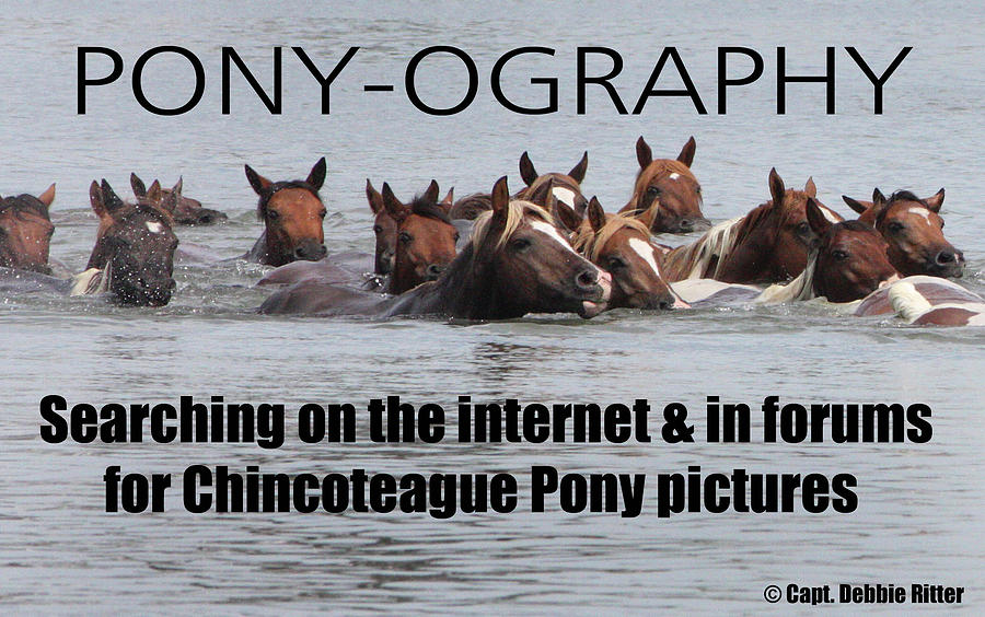 Pony Saying T- Shirt Photograph by Captain Debbie Ritter