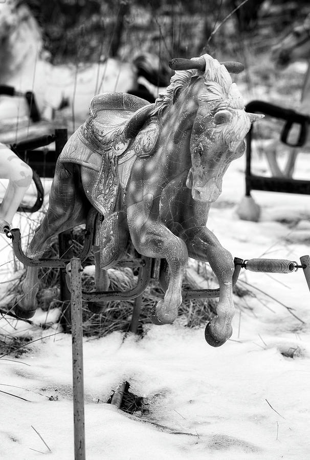 Ponyhenge 1 bw Photograph by John Hoey