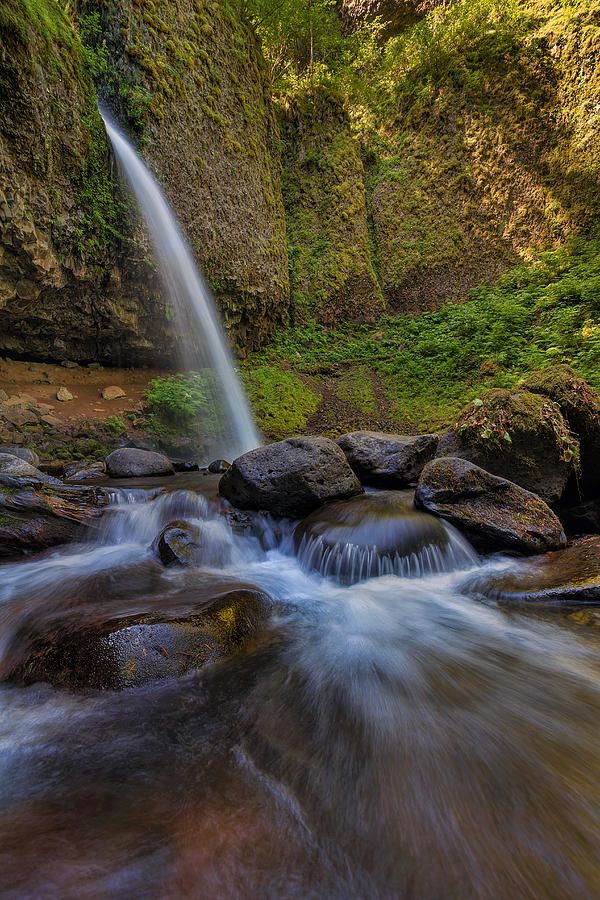 Ponytail Falls Photograph by David Gn