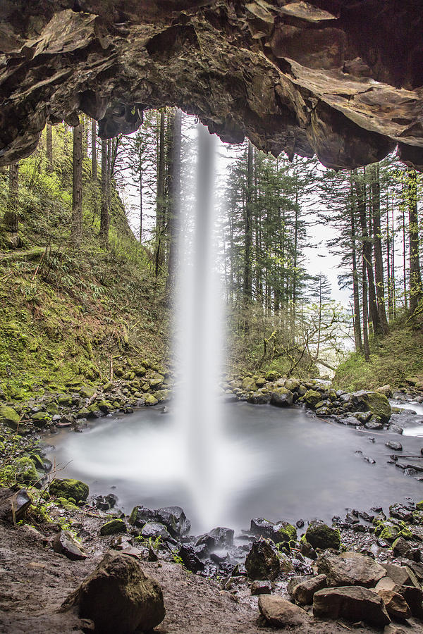 Ponytail Falls From behind in Color Photograph by John McGraw