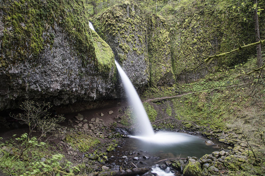 Ponytail Falls Oregon from Ridge Photograph by John McGraw