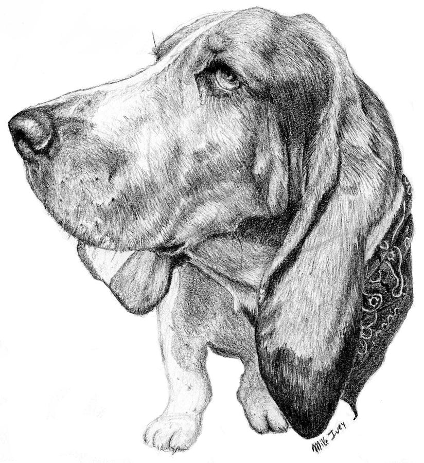 Pooch Drawing by Mike Ivey