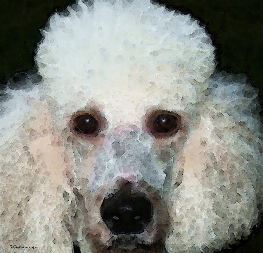 Poodle Art - Noodles Painting by Sharon Cummings