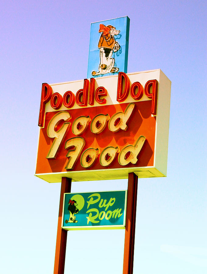 Poodle Dog Diner Photograph by Kathleen Grace