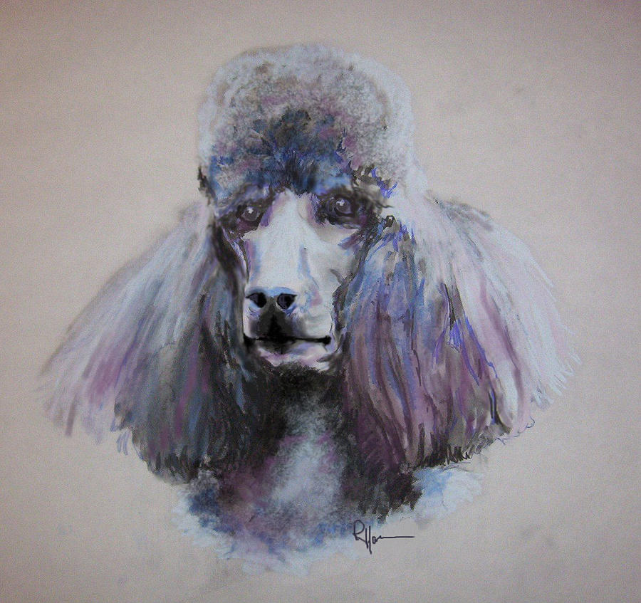 Poodle in Blue Drawing by Rachel Bochnia