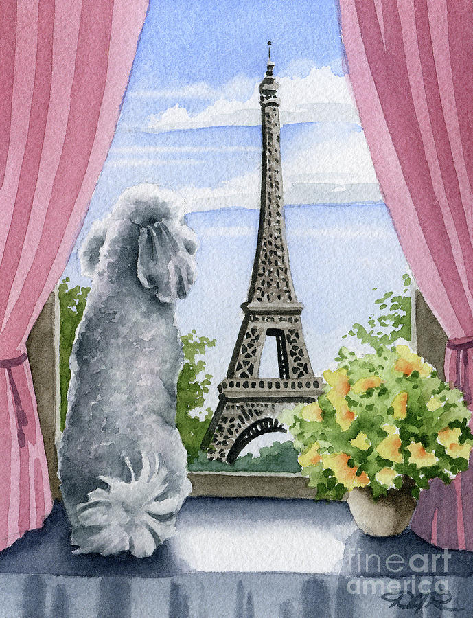 Poodle Painting - Poodle in Paris by David Rogers