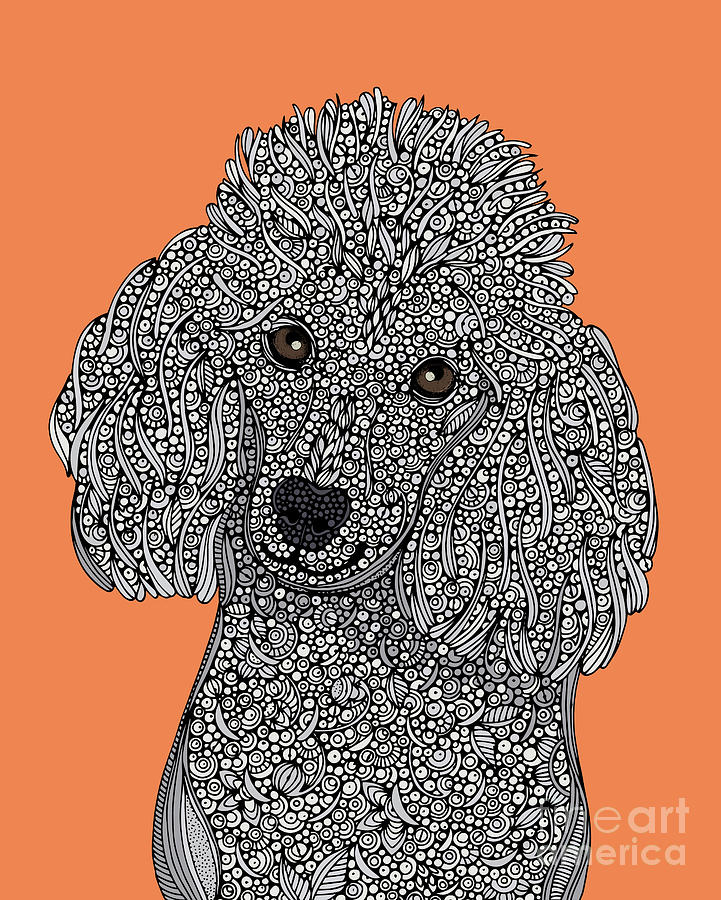 Poodle Digital Art by MGL Meiklejohn Graphics Licensing