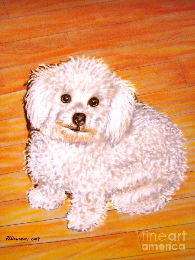 Dog Painting - Poodle by Pat Davidson