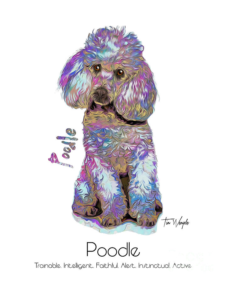 Poodle Digital Art - Poodle Pop Art by Tim Wemple