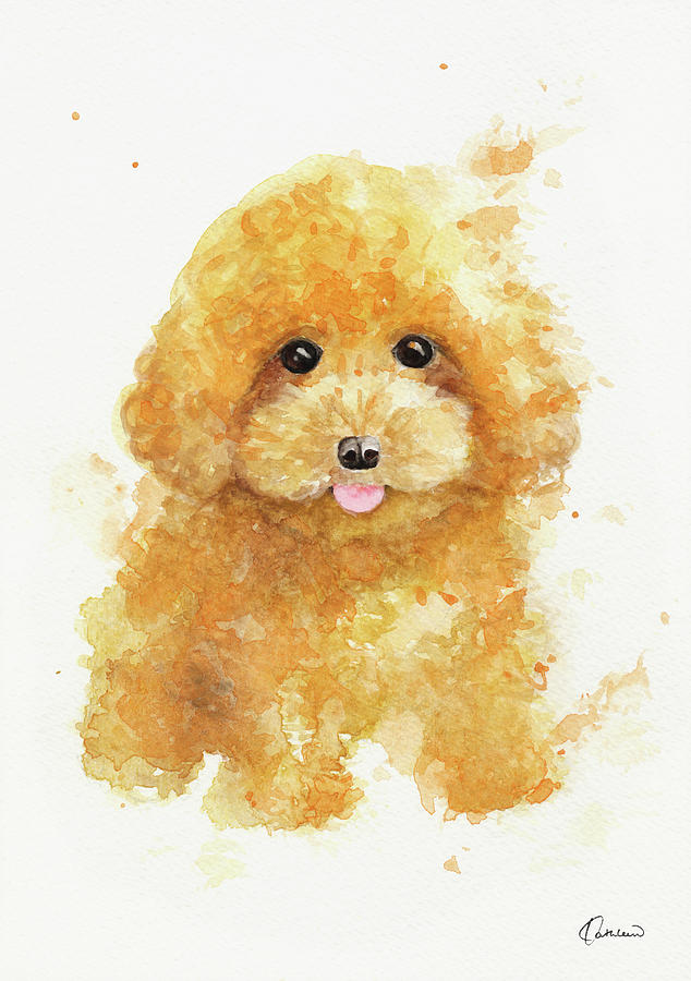 Poodle Puppy Painting by Kathleen Wong