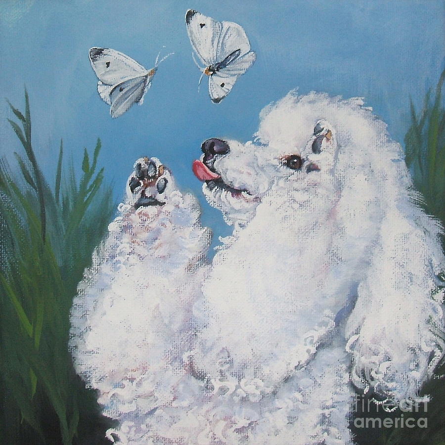 Poodle with butterflies Painting by Lee Ann Shepard