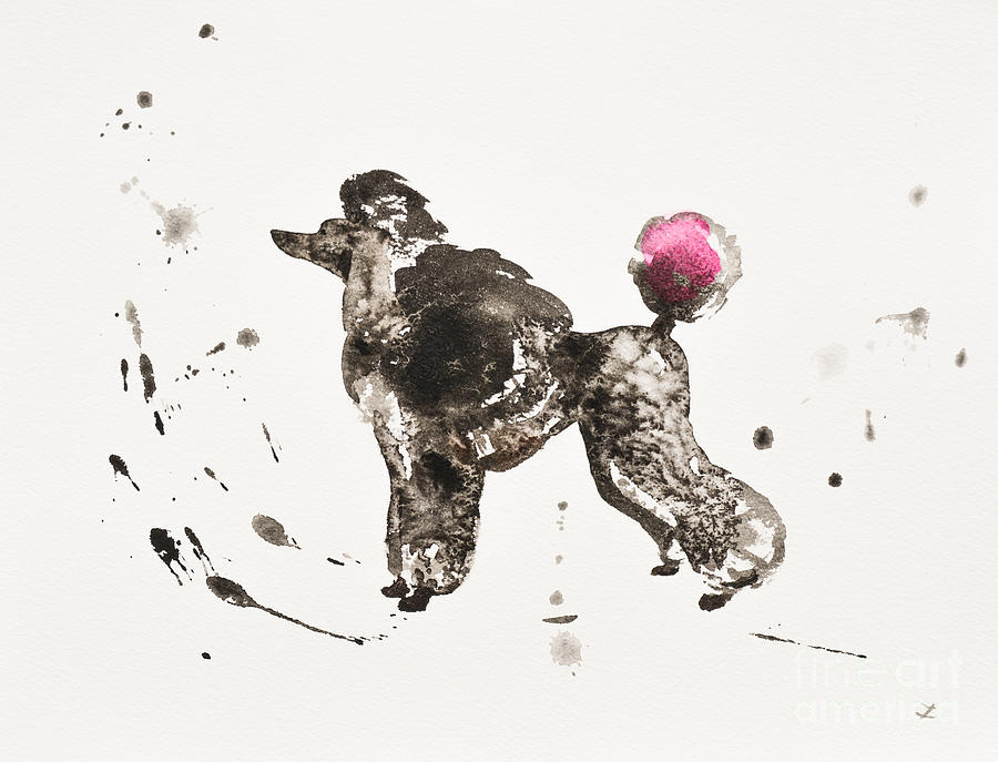 Poodle Painting by Zaira Dzhaubaeva