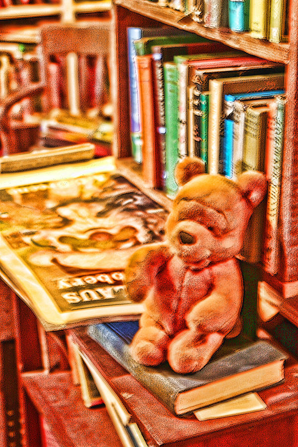 Pooh and Books Photograph by Linda Phelps
