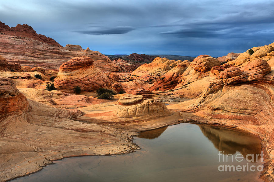 Desert Photograph - Pool At Coyote Buttes North by Adam Jewell