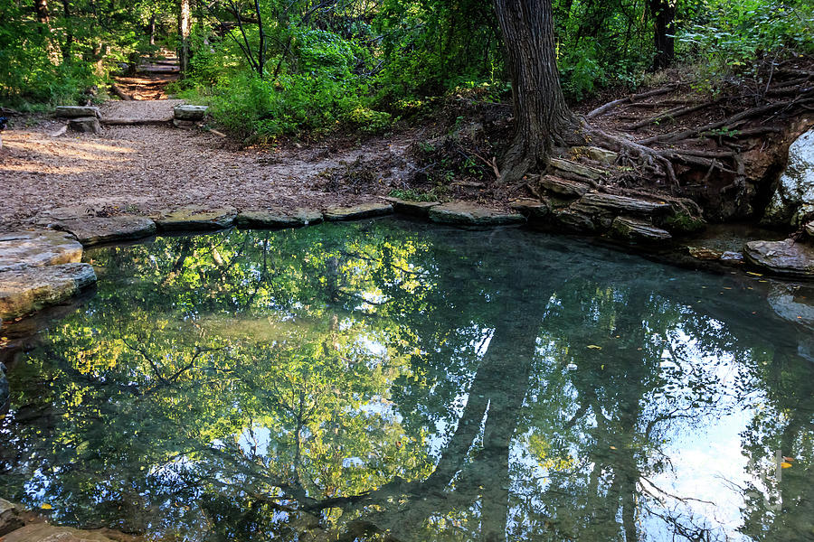 Pool in the Woods Photograph by Richard Smith