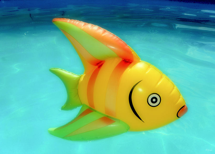 Fish Photograph - Pool Toy by Tony Grider