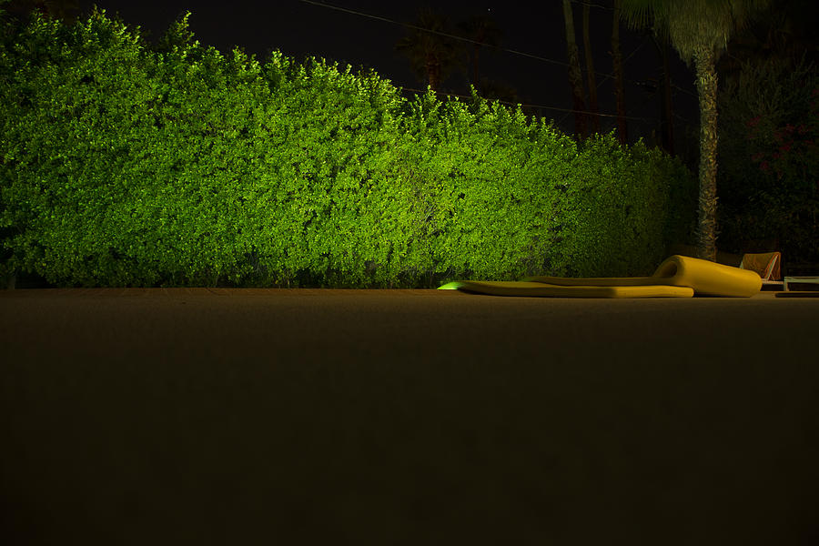 Poolside Privacy Hedge by Night Photograph by Erik Burg