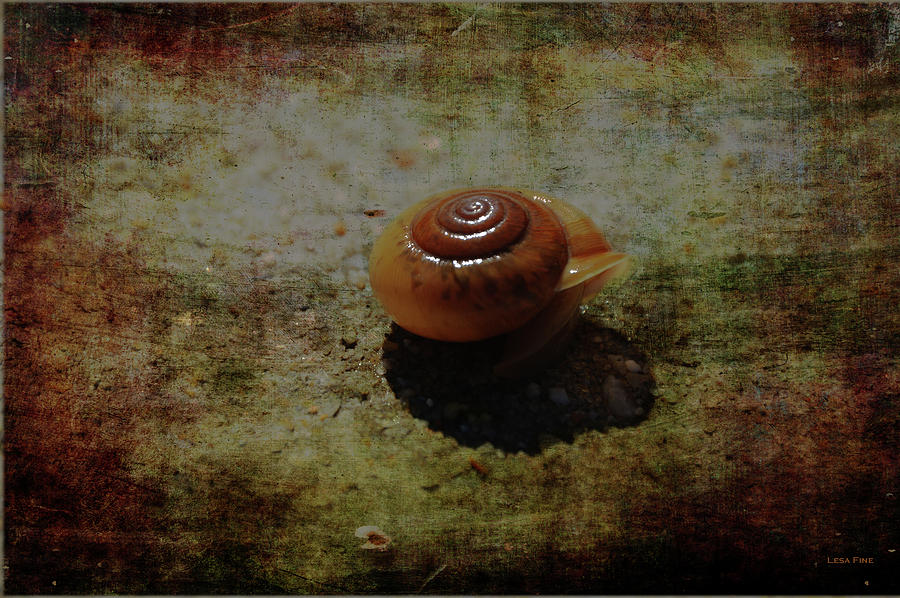 Poolside Snail Mixed Media by Lesa Fine