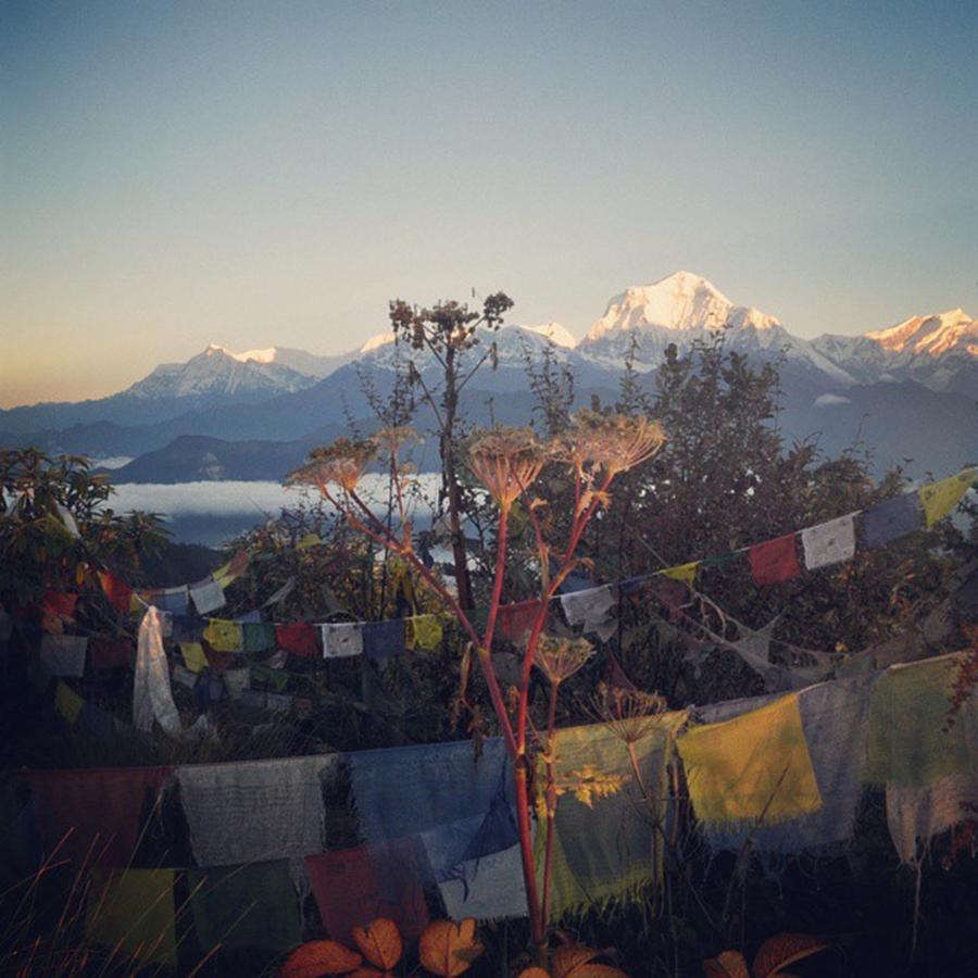 Mountain Photograph - Poon Hill(nepal) #himaraya #nepal #trek by Seiji Hori