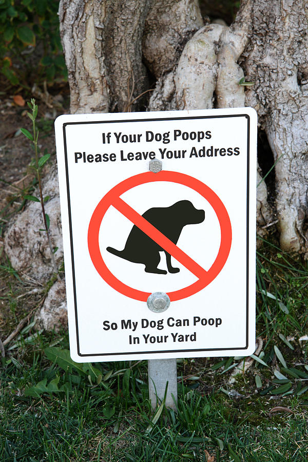 Poop Sign Photograph by Robert Hebert - Fine Art America