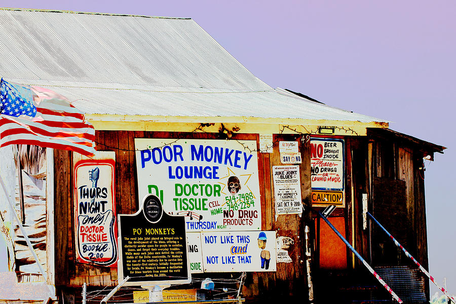 Mississippi Photograph - Poor Monkeys Juke Joint by Karen Wagner