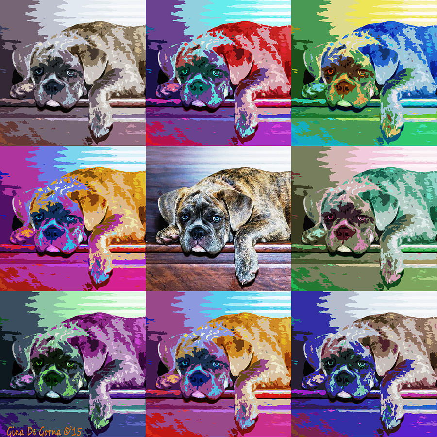Pop Art Bulldog - Lola Photograph by Gina De Gorna