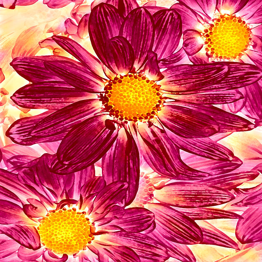 Pop Art Daisies 14 Square Painting by Amy Vangsgard