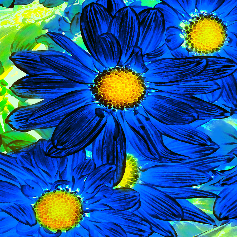 Daisy Painting - Pop Art Daisies 15 Square by Amy Vangsgard