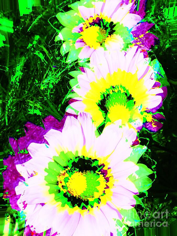 POP Art Flowers Photograph by Jenny Revitz Soper